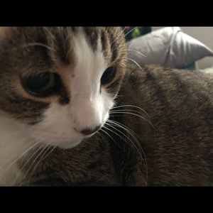 Meet your Posher, Kama